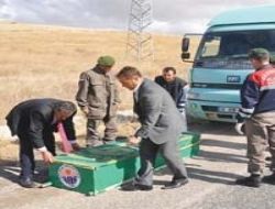 Direksiyon başında öldü