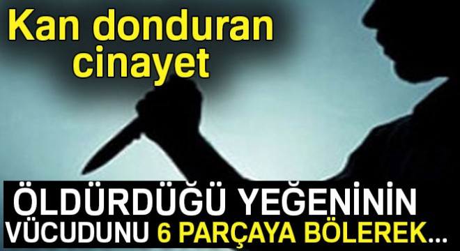 Başkent’te kan donduran cinayet: Öldürdüğü yeğeninin vücudunu parçalayarak...