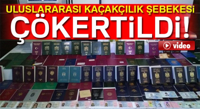 İstanbul’da uluslararası kaçakçılık şebekesi çökertildi