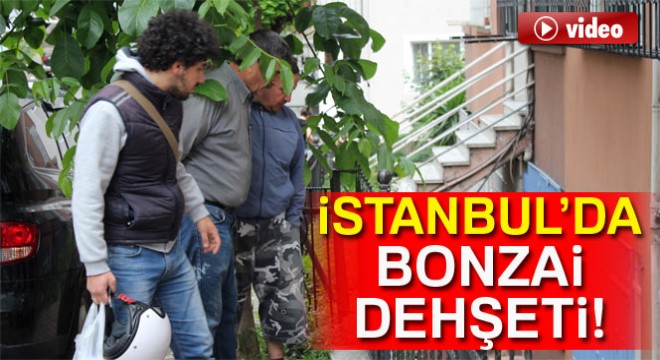 Şişli de bonzai dehşeti