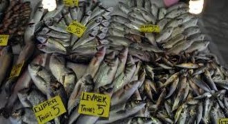 Aralık’ta Taze Balık Zam Şampiyonu