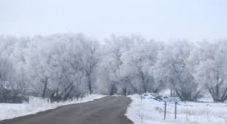 Soğuk Hava Hayatı Dondurdu